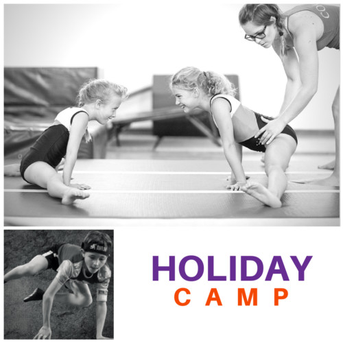 Holiday camps